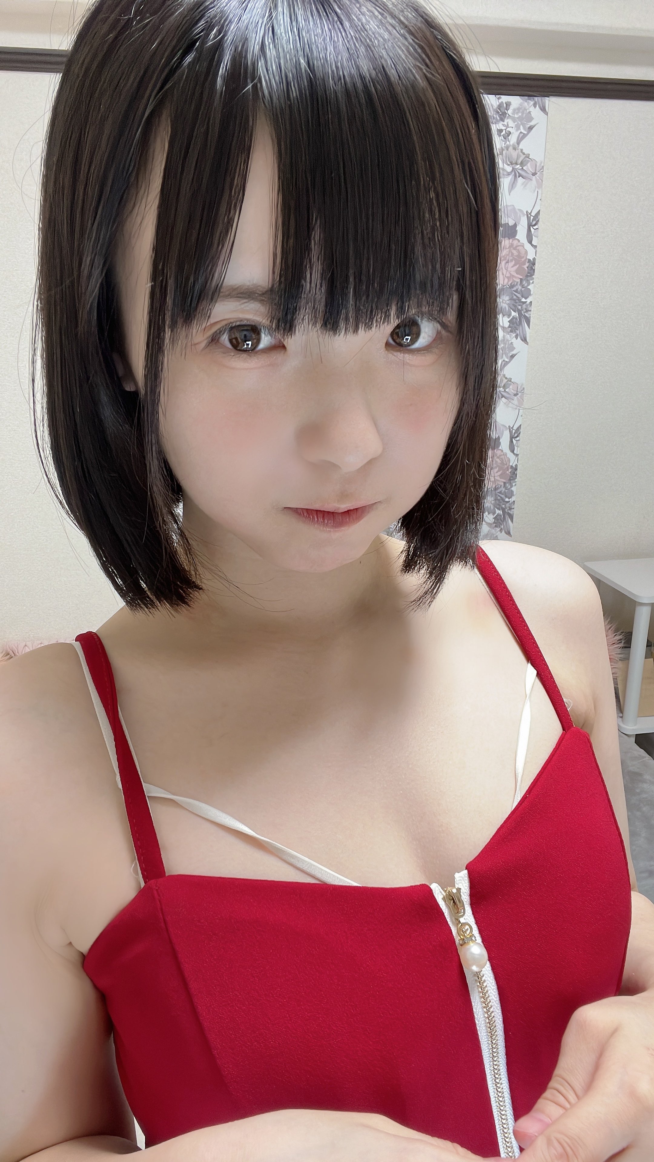 ごまちゃん ゴマちゃんコットンニットセーター予約受付開始！｜森下裕美公式