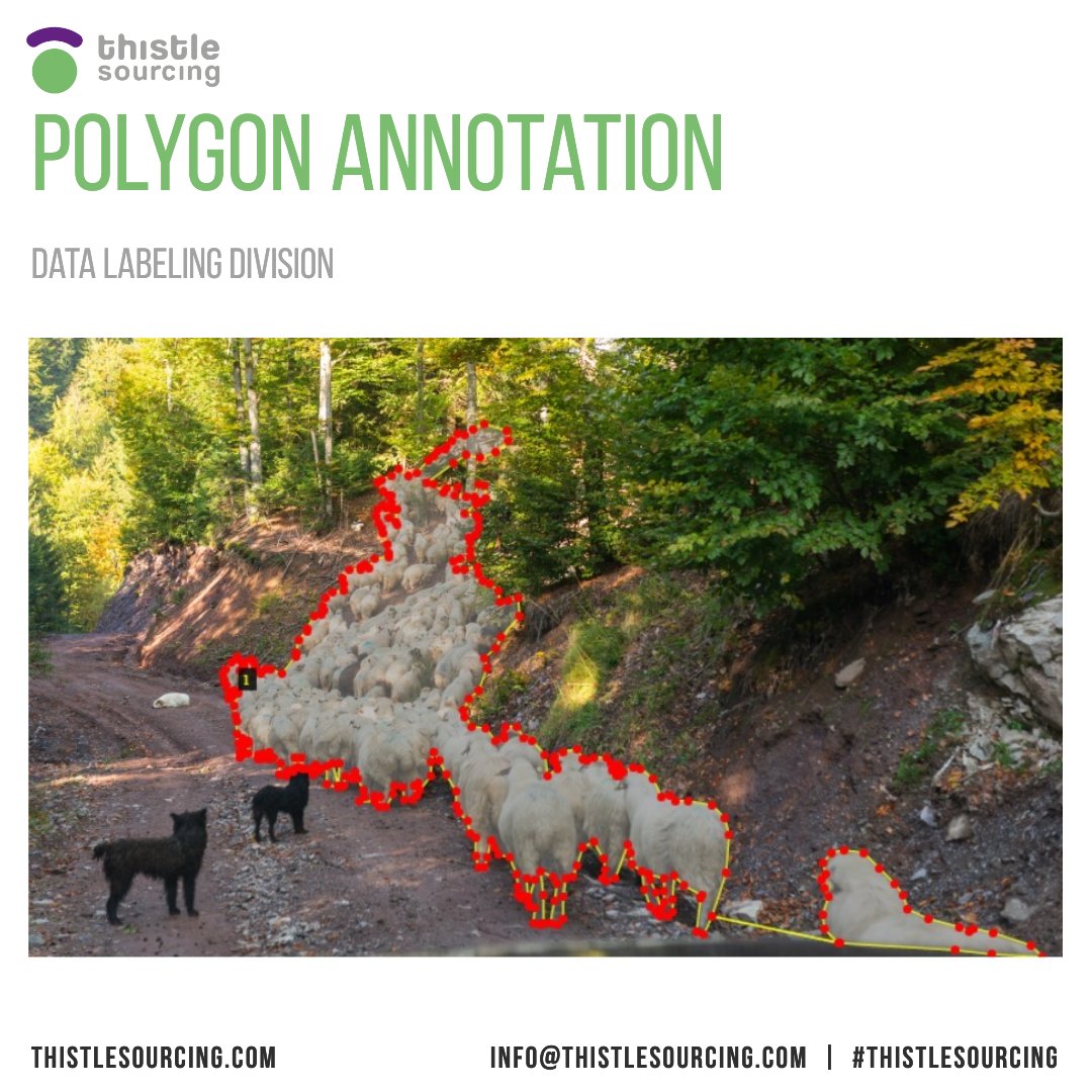 Thistlesourcing's tweet image. At Thistle Sourcing we calculate the exact shape of an object by drawing pixel perfect polygons. Suitable for object detection like road sign boards, objects,&amp;amp; logos as well as human poses in sports analytics, to name a few. #polygonannotation #datalabeling #imageannotation #AI