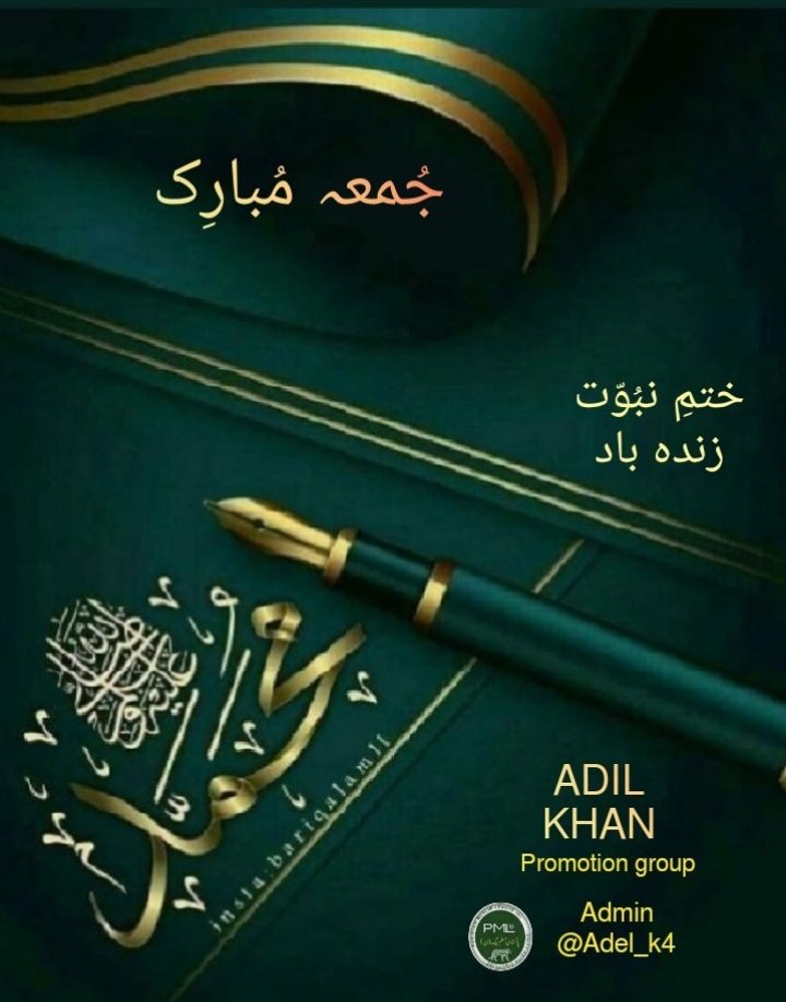 Niaz Badar Afridi . tweet media