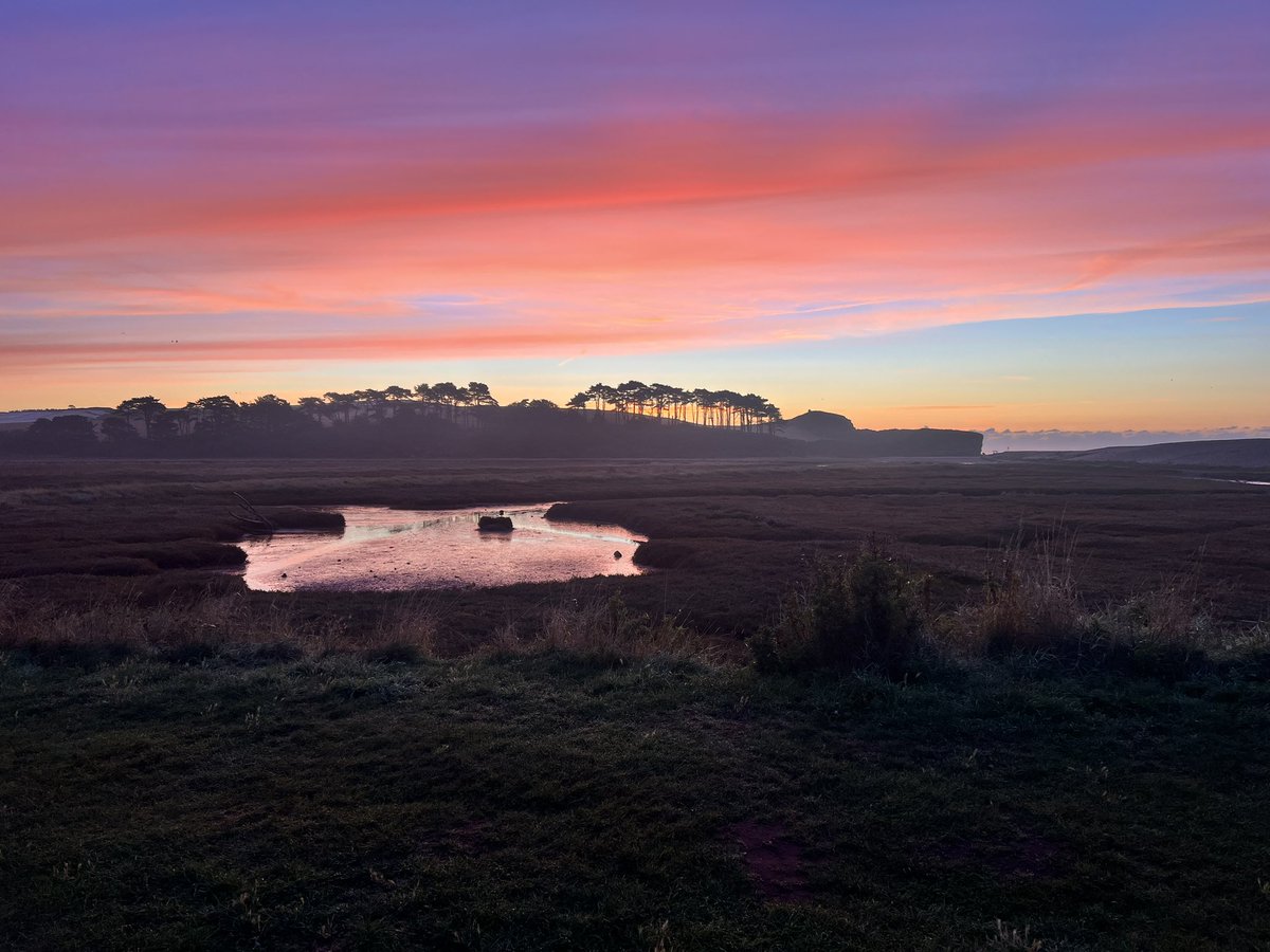 Iain Turner tweet media