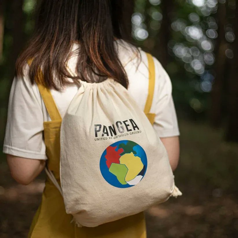 Pangea Movement tweet media