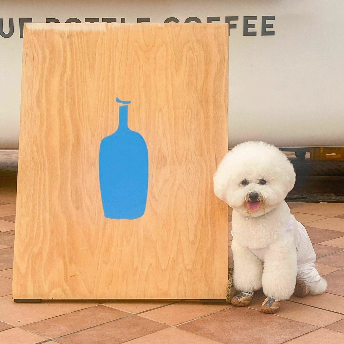 bluebottlejapan's tweet photo. ãçŠå²¡åžçŸè¡é€šãã¢ãããŒãåºå Žã®
#ãã«ãŒããã«ã³ãŒããŒãã©ãã¯ ã«æ¥ãŠããã
ðãã¡åãããŒã¢ã«ãããã
ðãã
ããã
ðäŒå³è¡é
ðã¬ãªã³
#DogsOfBlueBottle
#ãã«ãŒããã«ã³ãŒã㌠https://t.co/5mZIc1IdLf