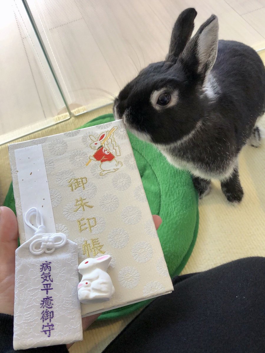 さんた tweet media