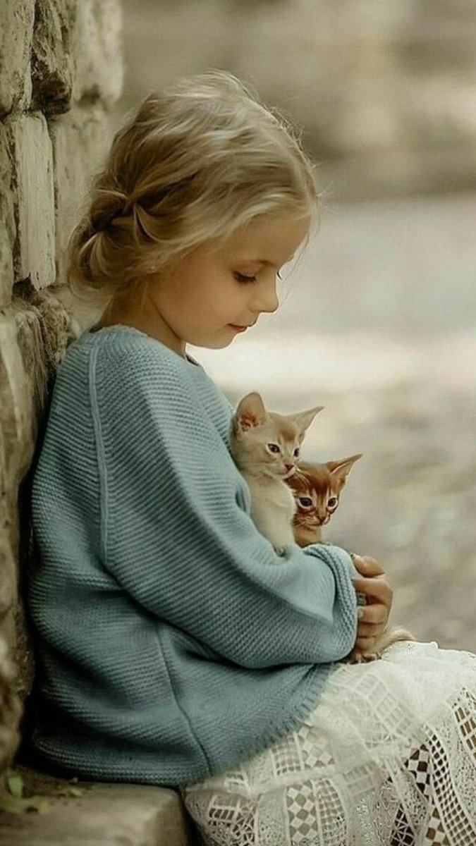 Animales y Personas (@animalesypers69) on Twitter photo 