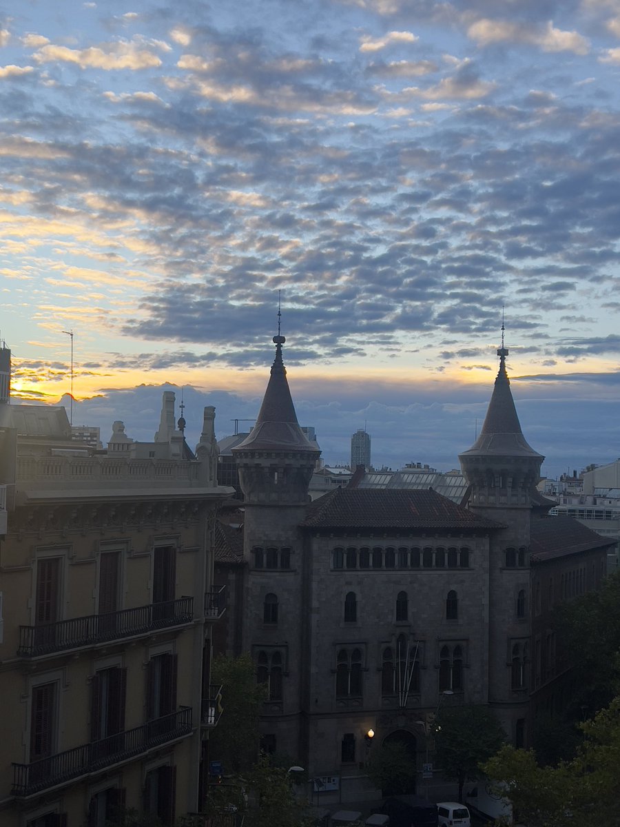 Judith Anton tweet media