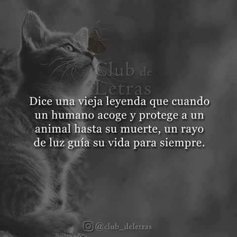 CBALloseta's tweet photo. 💜💜💜 https://t.co/AQ4uBzMotA