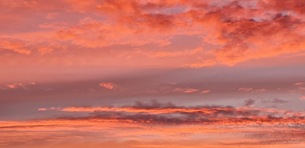 Magnificent Cornish skies this morning.... #shepherdswarning