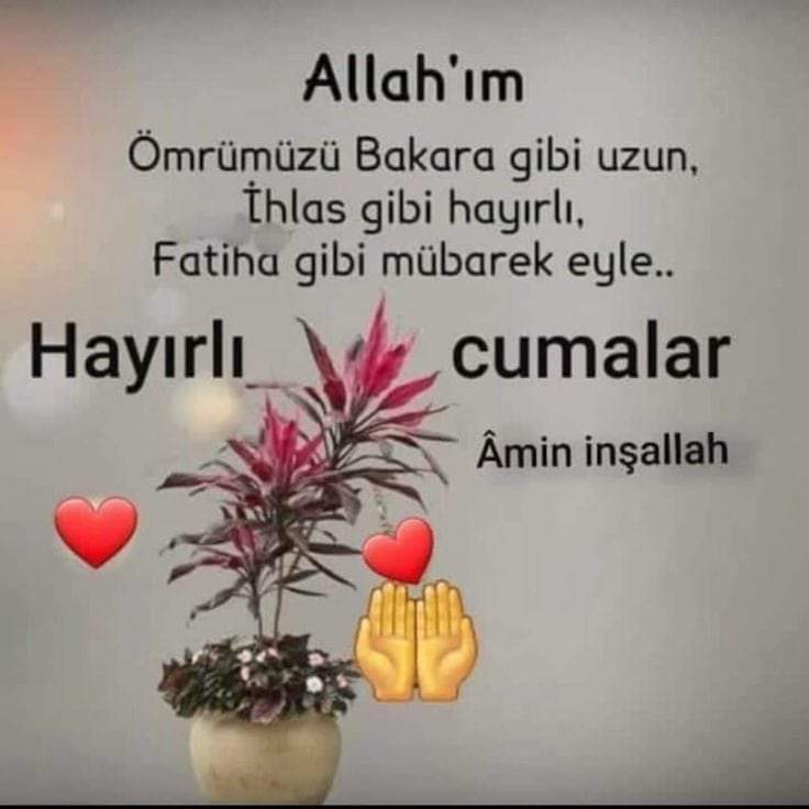 dalgaramazan01's tweet photo. https://t.co/8GJXKTeoy8