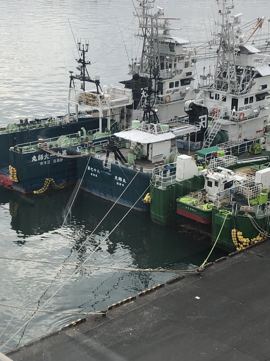 とー Peroinuu Twitter