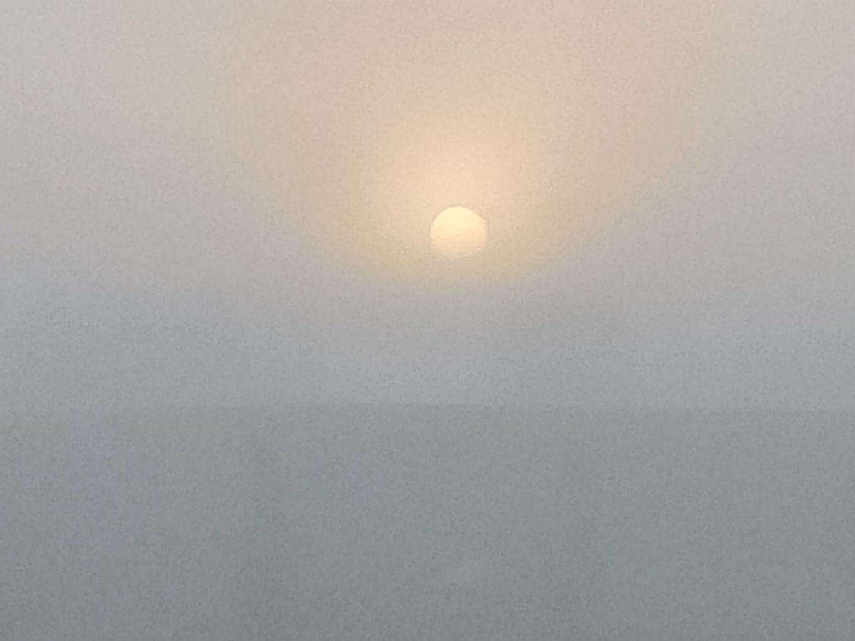 WeerstationV's tweet photo. Mist in de Achterhoek vanochtend. https://t.co/R3gFzTs6s8