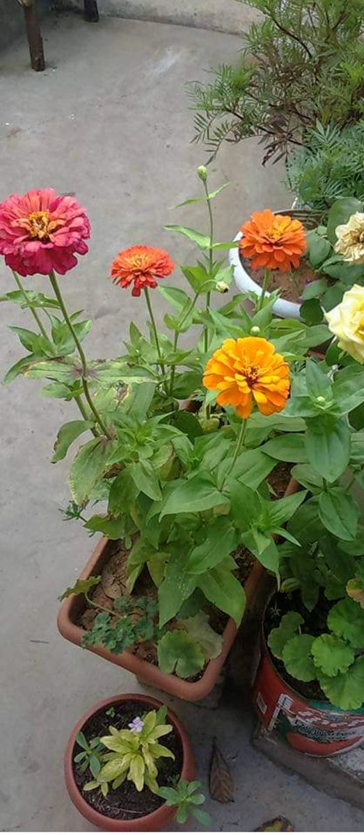 Cumanız mübarek olsun hayırlı cumalar dilerim