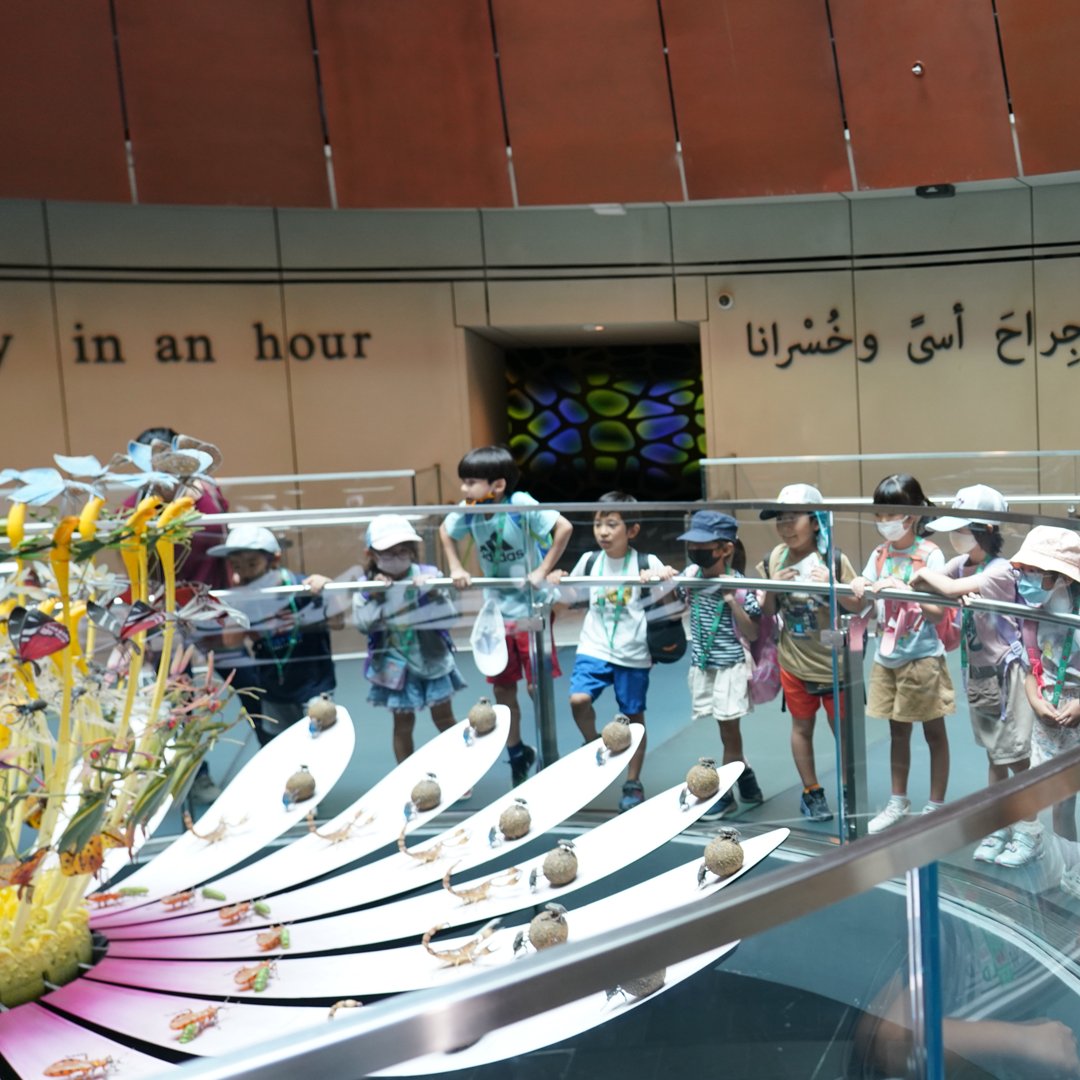 exposchoolprgrm's tweet photo. The path of learning is through inspiration and wonder and we’re loving every minute of it!
#expocitydubai #exposchoolprogramme
رحلة التعلّم مليئة بمحطات من الإلهام والاستكشاف... ونحن نستمتع بكل لحظة منها
برنامج_إكسبو_للمدارس #مدينة_إكسبو_دبي# https://t.co/4vr54oaadP