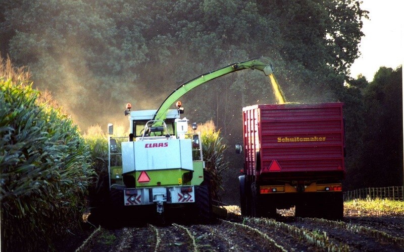 Welke vanggewassen kun je telen na de maisoogst? En wat zijn de voorwaarden voor extra premie binnen het GLB? Zaai je vanggewas als hoofdteelt uiterlijk 31 oktober.

➡️Lees er meer over op bit.ly/3SHNoMJ

#maisoogst #vanggewas #GLB #FarmConsult #bodem