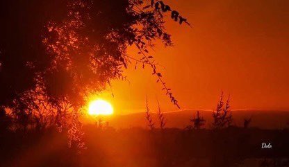 TurismoRota's tweet photo. Preciosos #arardeceres de #otoño que nos regala @dolofdez59 en las #playasderota y que nos encantan 😍😍
.
#felizviernes #descubrerota #rotasabeafelicidad
.
Amazing #sunsets at the #rotabeach #rotaspain to wish you a great #friday 😍
.
#discoverrota #rotathetasteofhappiness https://t.co/EbhF5ZkqLc