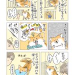 ペットゲートを鳴らすと人がやって来ることを学習し･･･!愛犬のお話を描いた漫画が話題に!