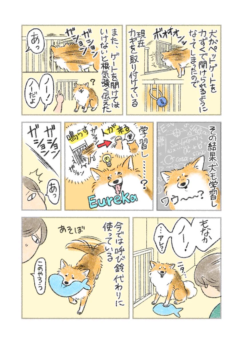ペットゲートを鳴らすと人がやって来ることを学習し･･･！愛犬のお話を描いた漫画が話題に！