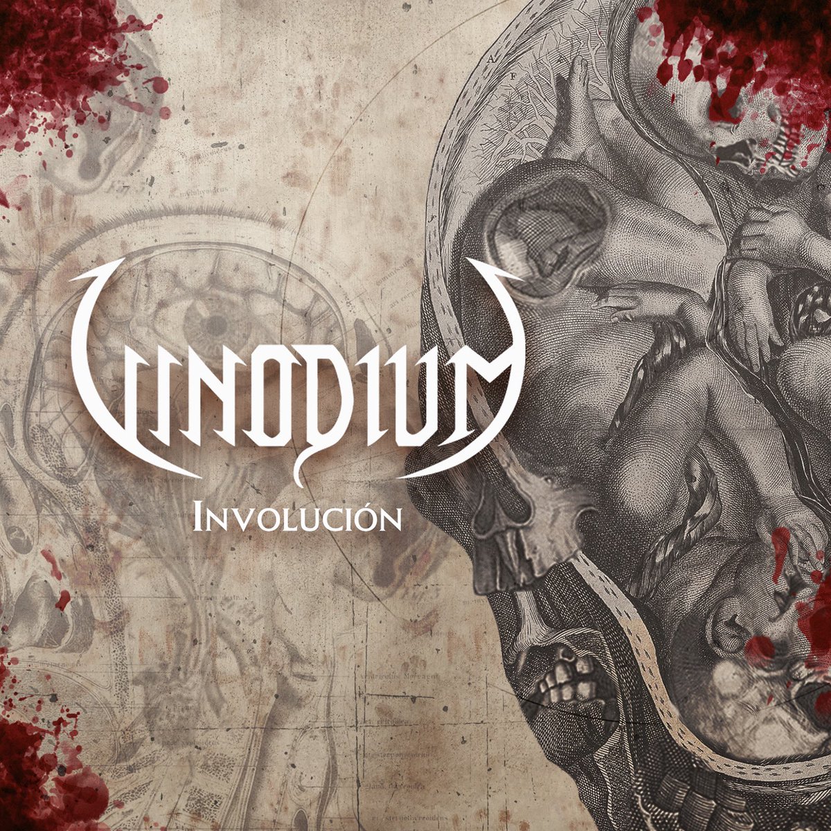 No te pierdas hoy a las 12:00h el lanzamiento de nuestro nuevo single INVOLUCIÓN! 

👽👽👽
Seguir a <a href="/ArtGatesRecords/">Art Gates Records</a> para más info! 👽👽👽

Stay thrash! 🔥🔥
#Metal #metalvideoclip #newdisc #staythrash #thrash #thrashmetal #thrashmetalband #metalspain #metalespañol #HeavyMetal