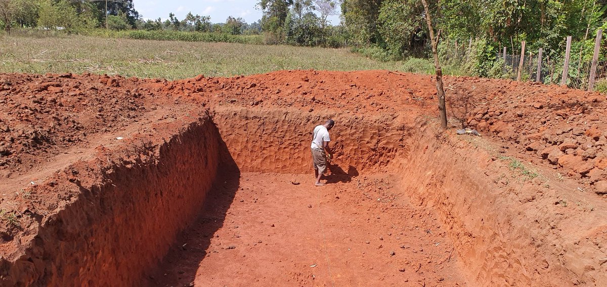 MwenesiAnderson's tweet photo. #Farming just like any other project should not be done solo! The #ROI can also be a shared.
2.5acre land, full-time electricity, 2-boreholes, 5000ltr tank, 100,000ltr water pan, 8*30greenhouse. Perfect for horticulture.

Please help me RT widely my partner could be on your TL🙏🏾 https://t.co/ppplhDatcM