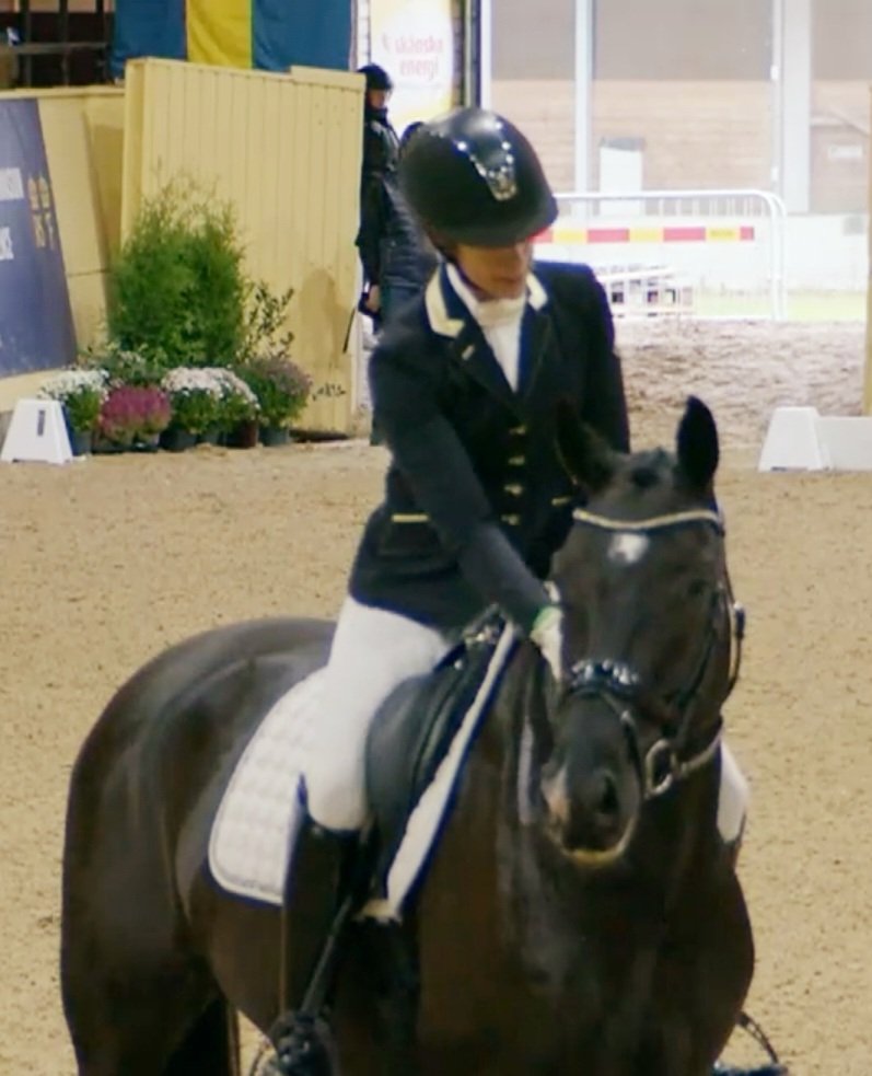 MissAvantasia's tweet photo. My wonderful Da Capo❤️
He got a 8th place of 50 in the first finals of #BreedersTrophy yesterday!
This means he is one of the ten high quality 4-year old horses in Sweden who qualified for the grand finals tomorrow! Where the Olympic rider Cathrine Dufour will testride them all😮 https://t.co/922wfmNau7
