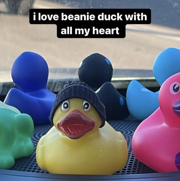 quackst4's tweet photo. quackity https://t.co/evRyM1vN6D