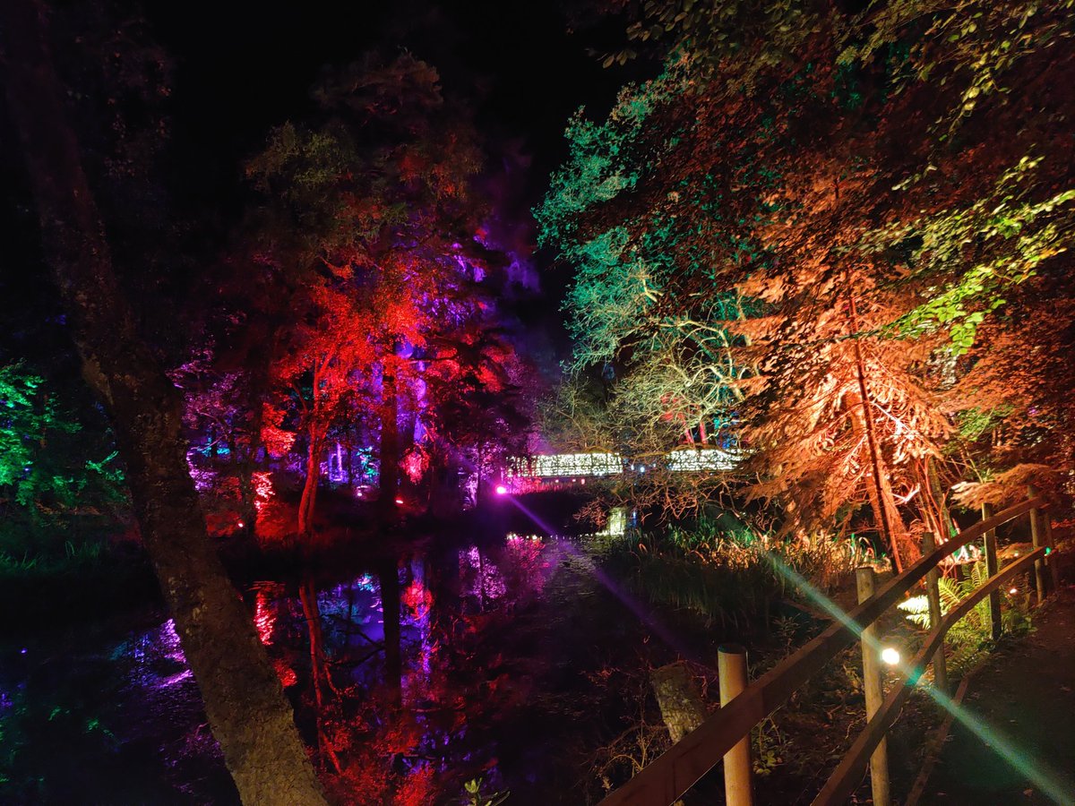 Iona_Byrne_'s tweet image. Went to the enchanted forest yesterday was stunning #enchantedforrest #pitlochry #Scotland #nature #trees #lights #magic
