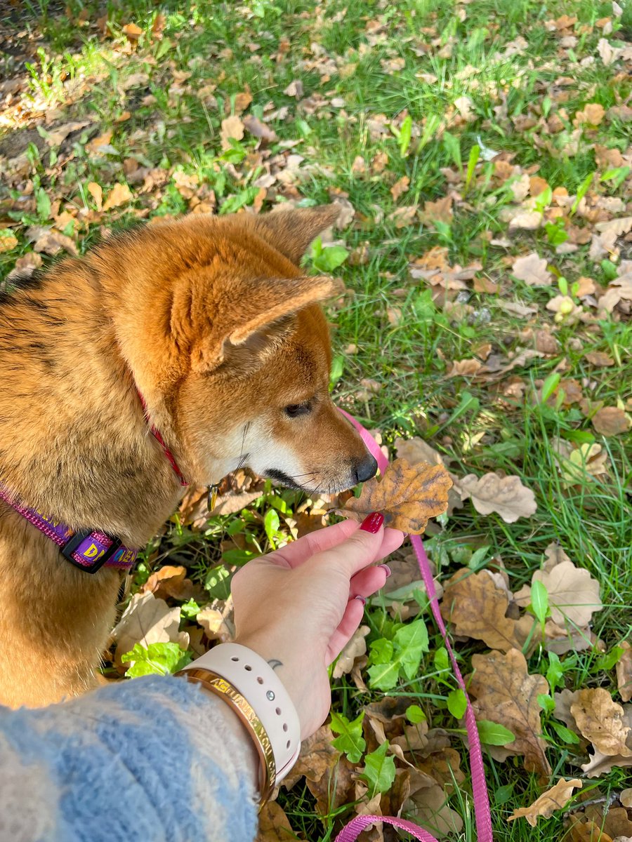 Good morning #NFTFam 
Have a Good Friday 🤩

Me and my Luna 🌙 send you rays of goodness