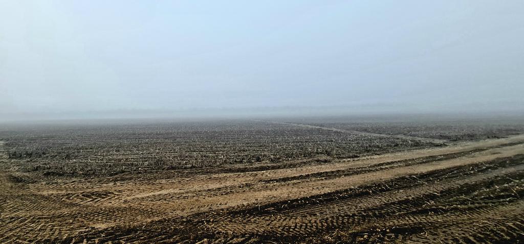 Glenn Crane tweet media