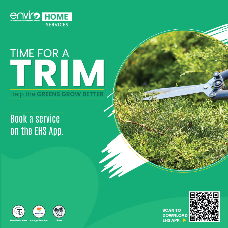 envhomeservices's tweet photo. Give your #Decorative #Plants a good #Trim today. Book #HorticultureService from #EHSApp. Call: 01204976844 or Download the App Now: https://t.co/PJy6sm6mvF

#Horticulture #Plant #Greens #EnviroHomeServices #EHS #90Minutes #LocalServices #HomeMaintenanceServices #HomeServices https://t.co/enBDLdDhnY
