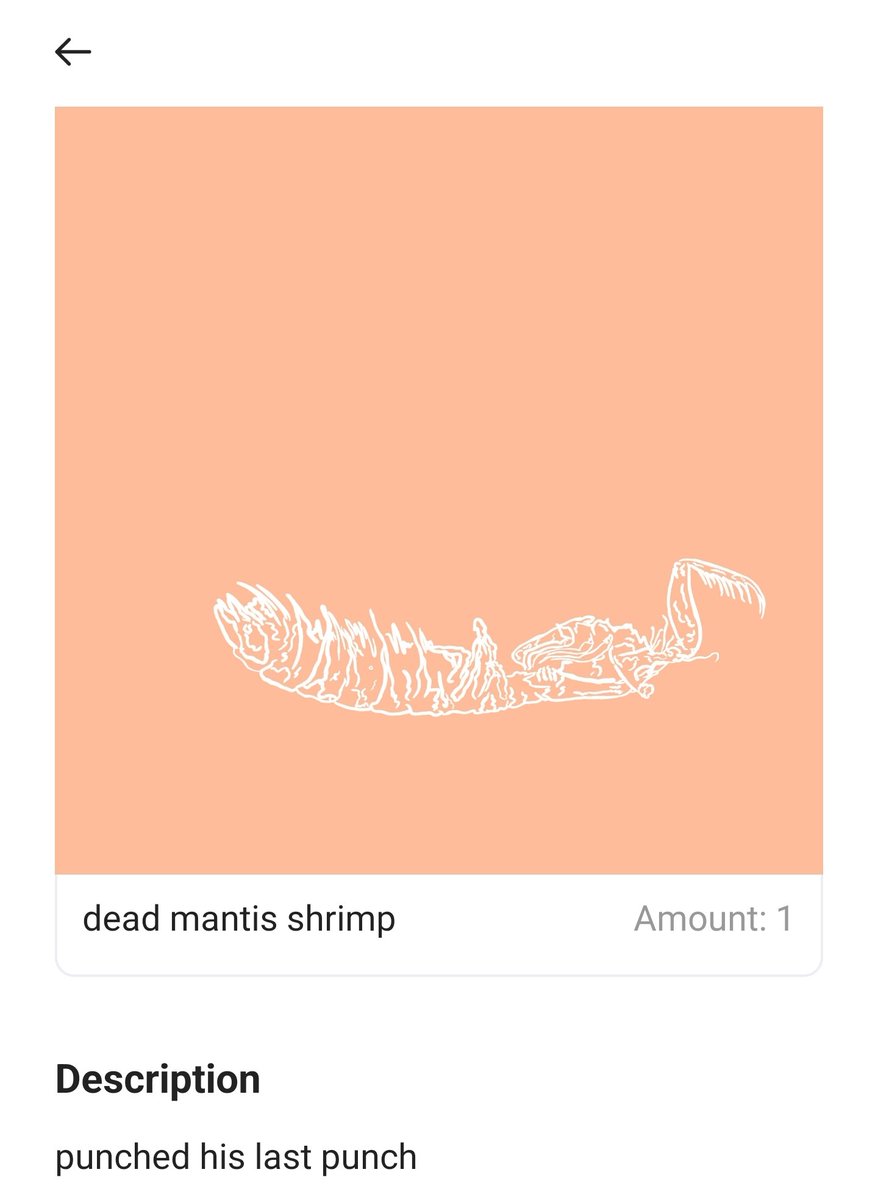 Herbertonic's tweet photo. ๐คฉWoah, check out these dope #mantisshrimp from @beaupearcenft !
๐Loving the L222 Community!
#mintthatshrimp #mantisweek https://t.co/2THtI8zAss