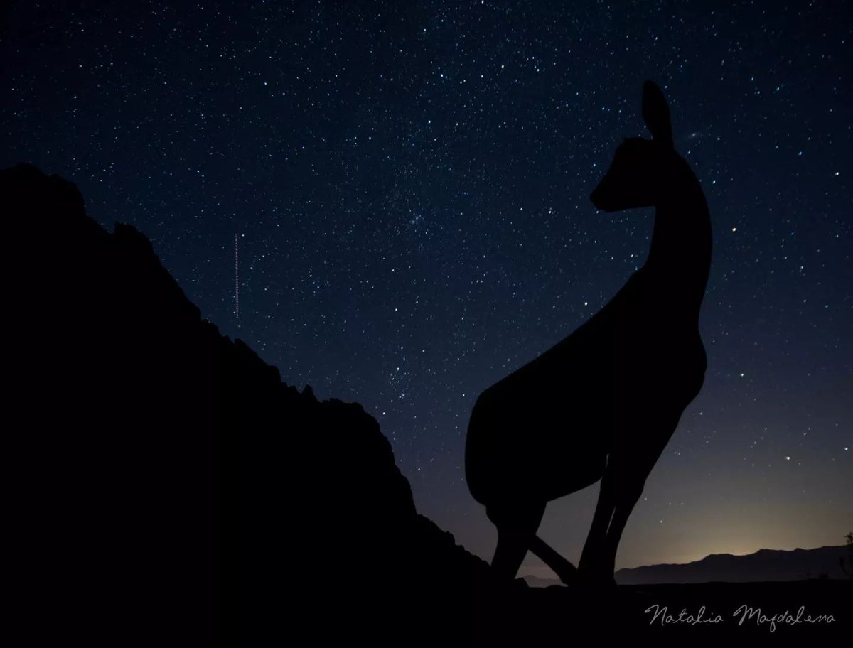 En los caminos de peregrinación existen momentos únicos a cualquier hora del día. Las noches estrelladas en alta montaña son un regalo para el peregrino o el visitante que acude a Cantabria.
👉Mirador del corzo en el Puerto de San Glorio, de camino al monasterio de Santo Toribio.