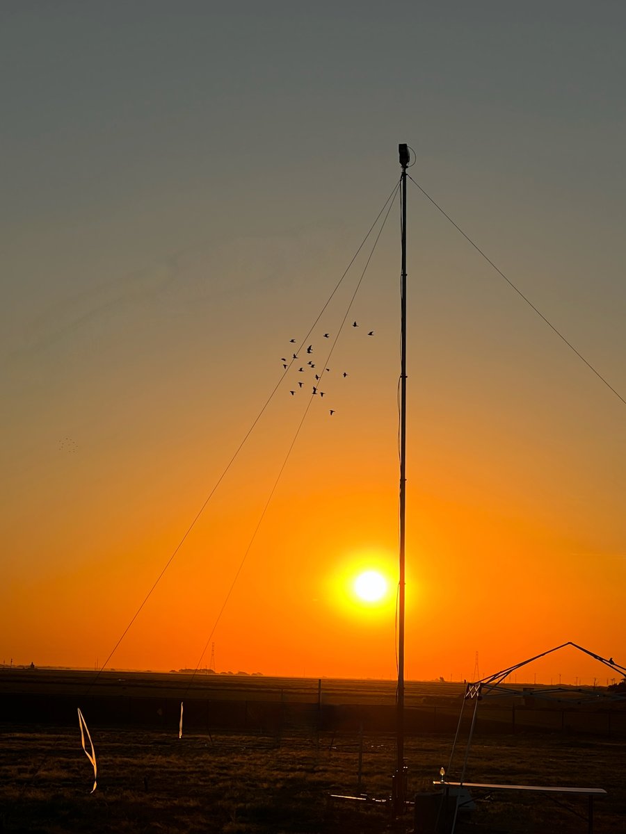 QLM Technology tweet media