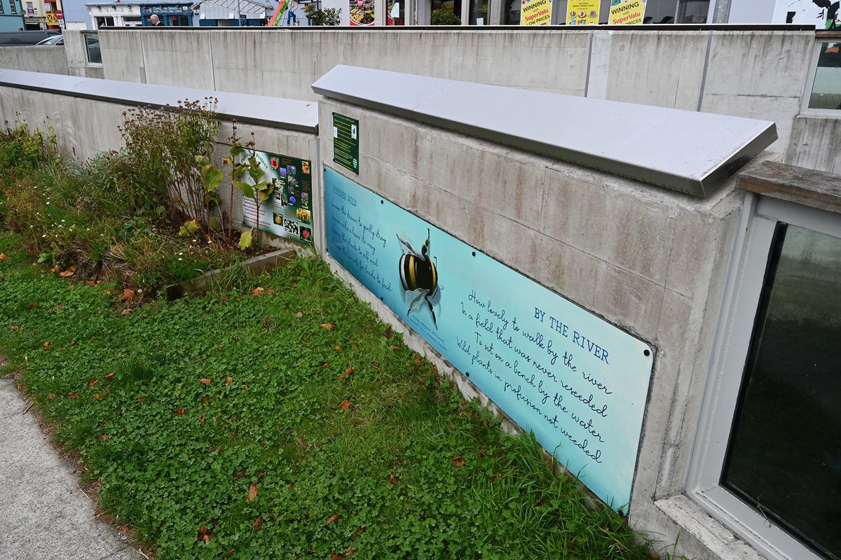 The Skibbereen Flood Scheme earlier this week; brutally channelized river and concrete flood walls - but a nice sign about bees. This sums up Ireland's approach to the biodiversity crisis. Parts of the town also flooded after this hard engineering scheme.