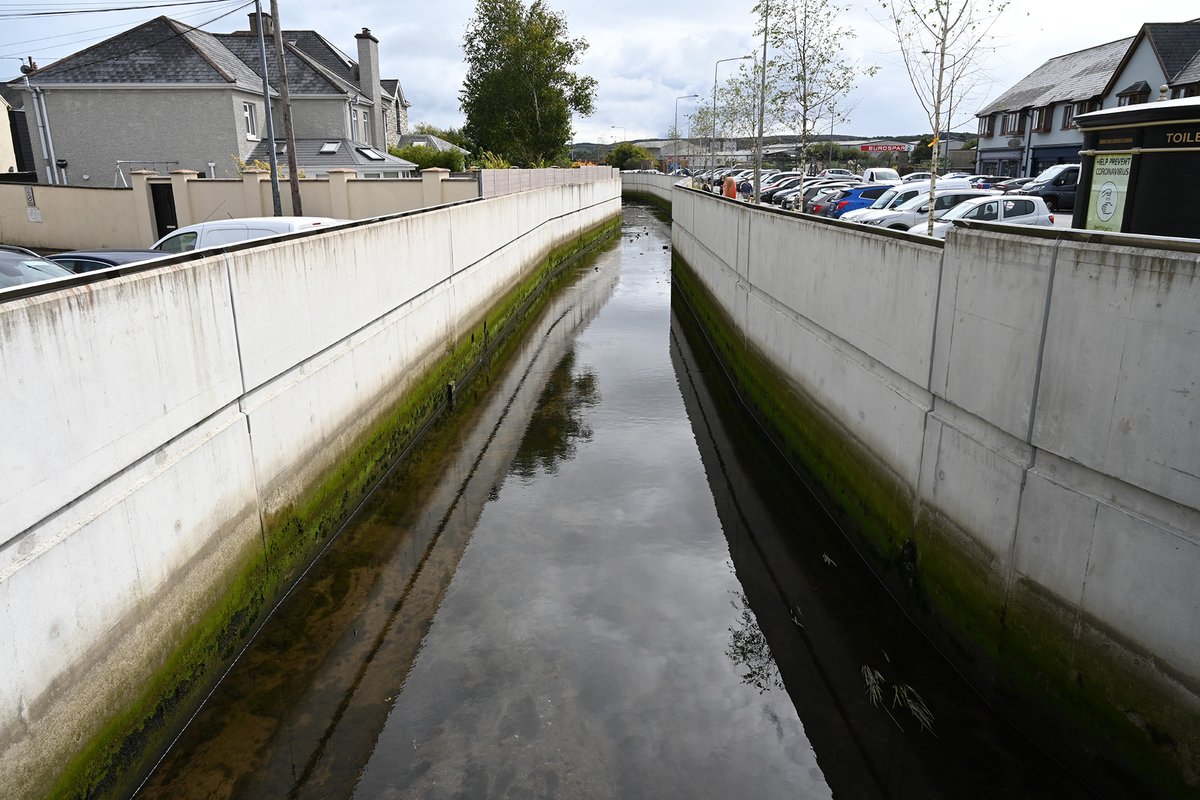 EcofactEcology's tweet image. The Skibbereen Flood Scheme earlier this week; brutally channelized river and concrete flood walls - but a nice sign about bees. This sums up Ireland's approach to the biodiversity crisis. Parts of the town also flooded after this hard engineering scheme.
