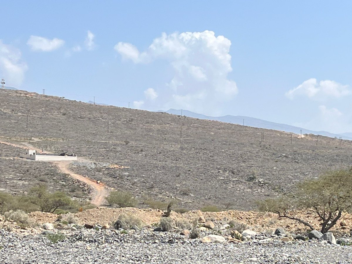 بداية إنتشار التكونات بشكل مبشر جبال ولاية #الحمراء من الحدث ⌚11:03ص
عدسة/ <a href="/SU_ALMUQBALI/">المصــور/سـلـطان المقـبالـي</a> 
#شبكة_رذاذ_الشتاء