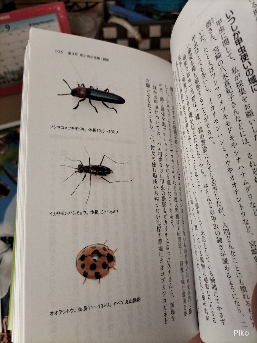 piko_soldier's tweet image. 丸山宗利先生著『昆虫学者、奇跡の図鑑を作る』届きました。
カラーの虫の写真もいっぱい掲載されてる。
月下虫音をBGMに読みます‼️
#月下虫音
#昆虫学者奇跡の図鑑を作る
#丸山宗利