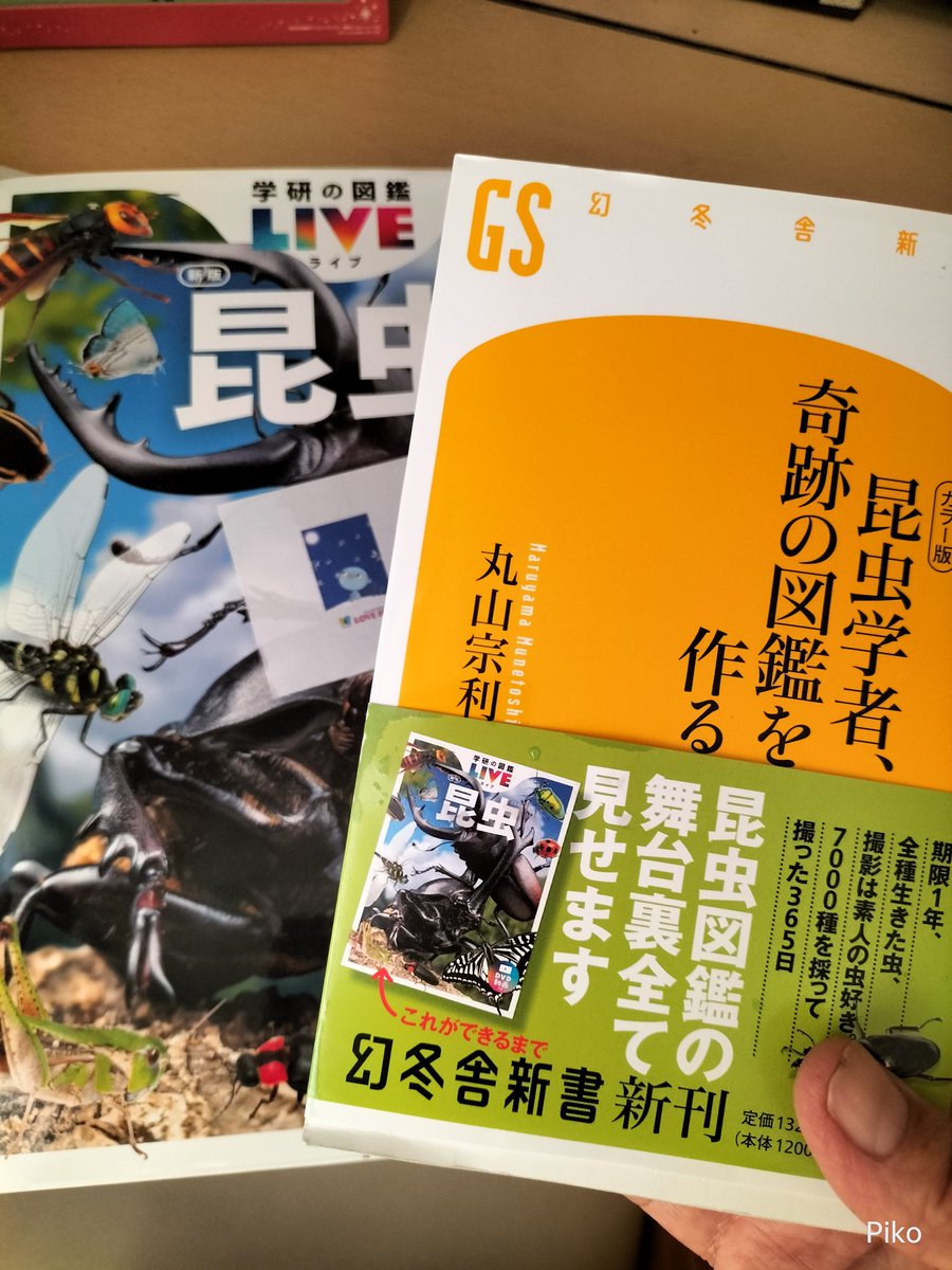 piko_soldier's tweet image. 丸山宗利先生著『昆虫学者、奇跡の図鑑を作る』届きました。
カラーの虫の写真もいっぱい掲載されてる。
月下虫音をBGMに読みます‼️
#月下虫音
#昆虫学者奇跡の図鑑を作る
#丸山宗利