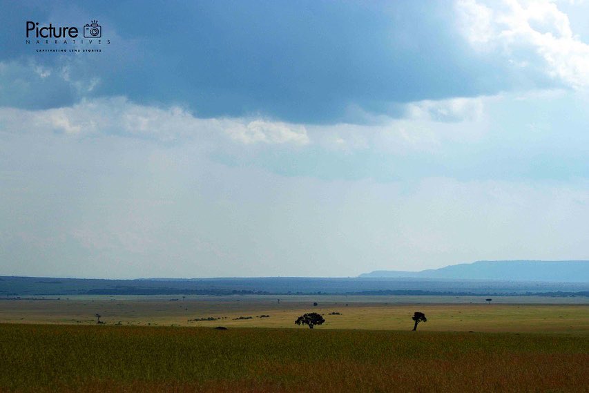Pic_Narratives's tweet photo. Some of our favorite destinations in Kenya 😍. What are yours?
.
.
.
#zurukenya #travel #travelphotography #landscapephotography #landscape #kenyanlandscapesphotographer #photography #beautifullandscape #wallartdecor #wallartforsale #WorldTourismDay2022 https://t.co/of5pEgiXuK