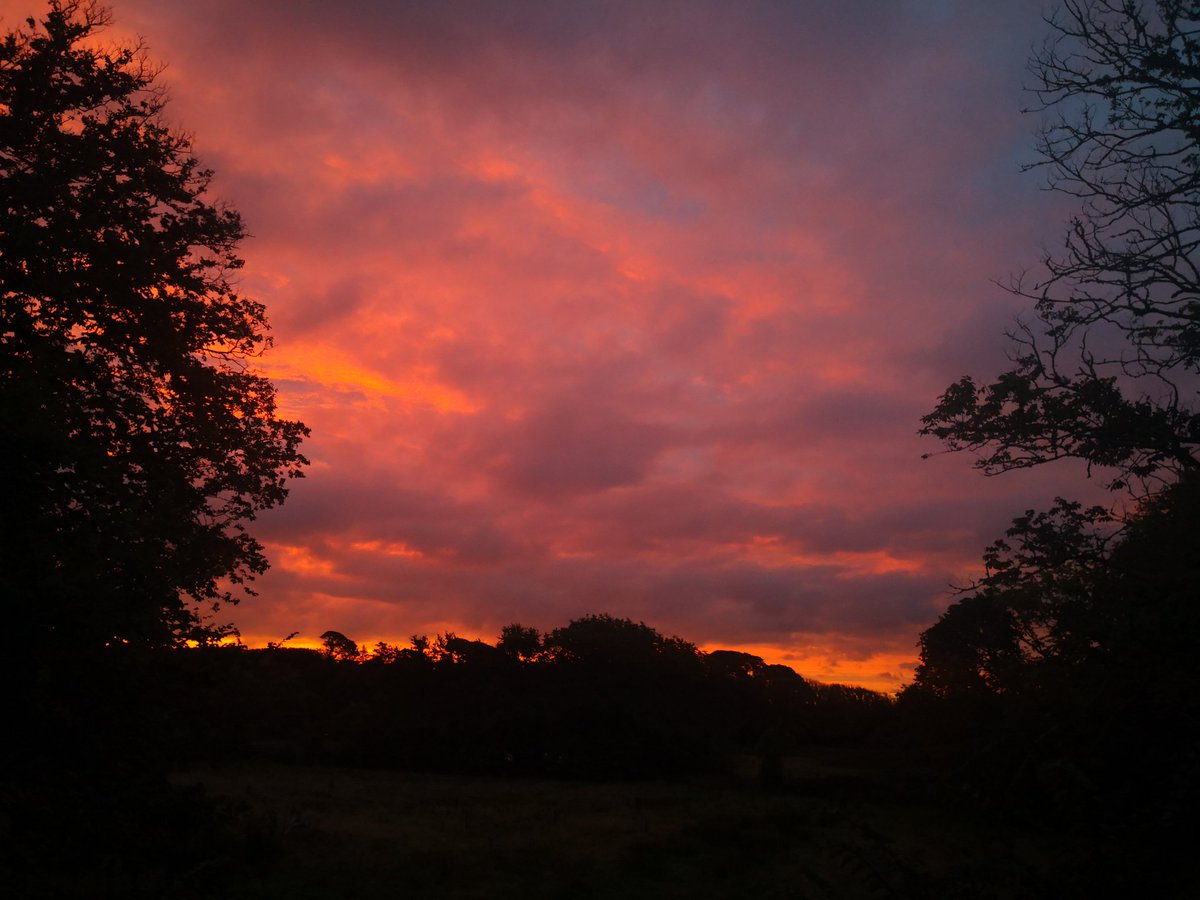 BareFootPhotographer 👣 tweet media