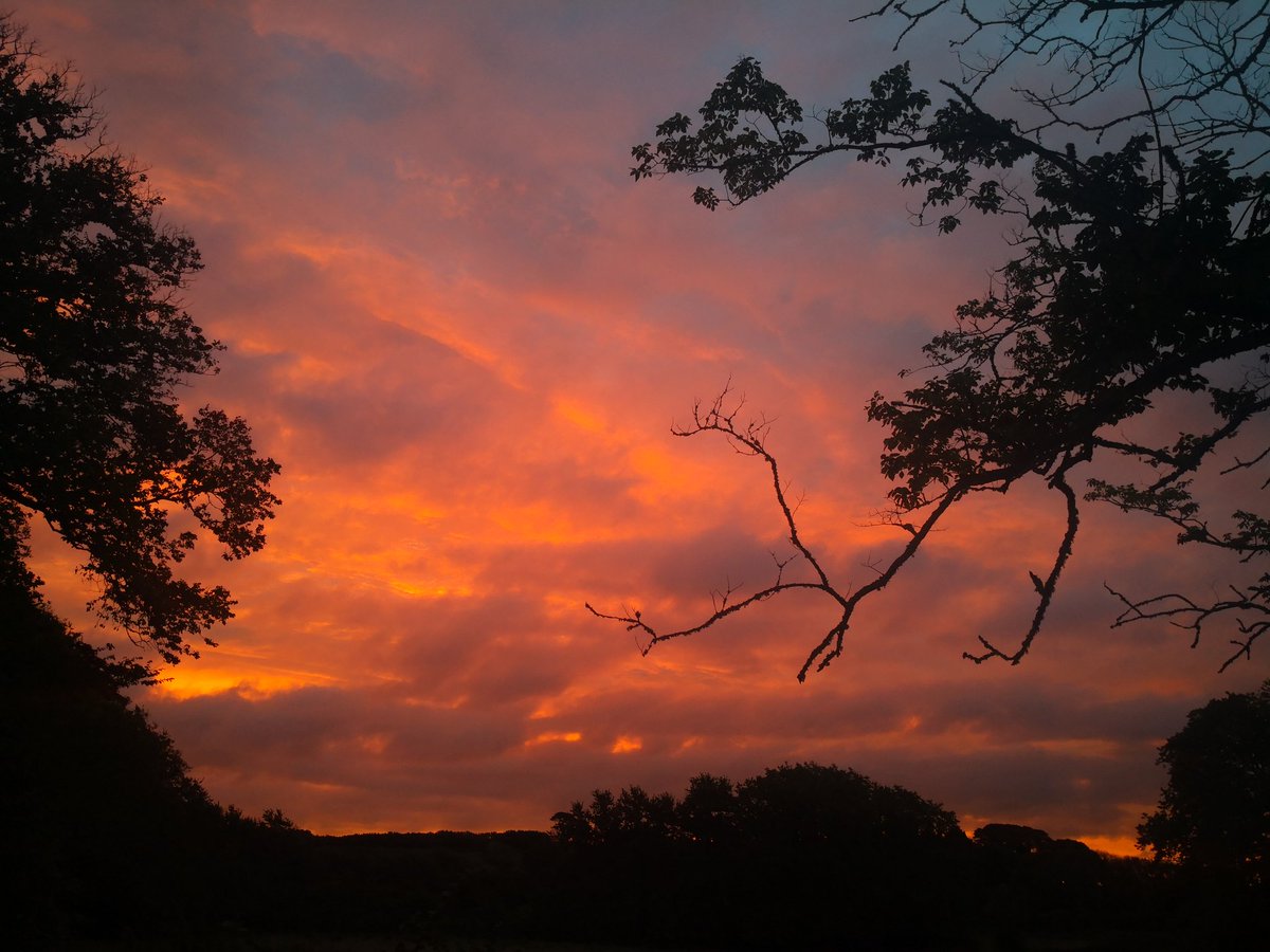 BareFootPhotographer 👣 tweet media