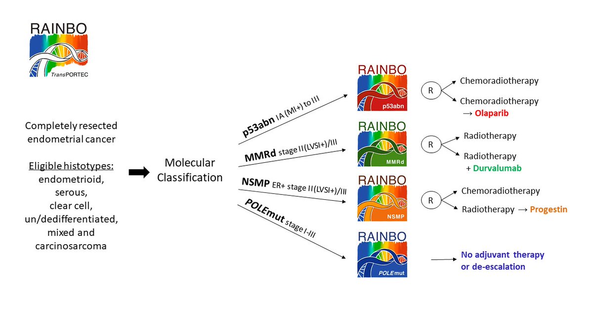 RAINBO Research Consortium tweet media