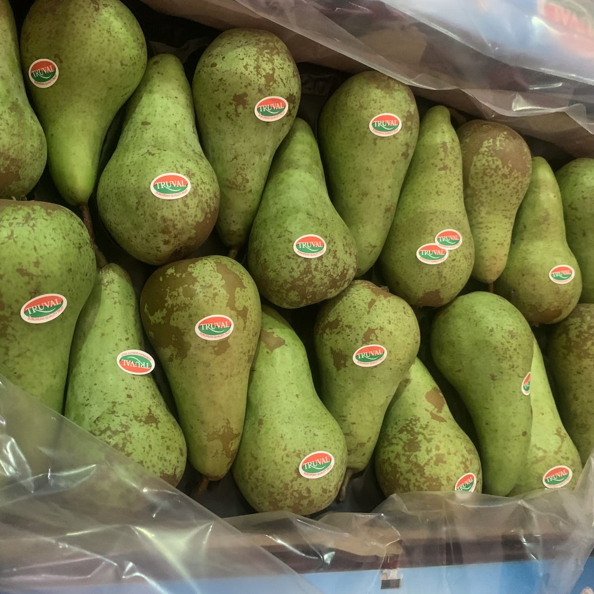 foodcareplus tweet media