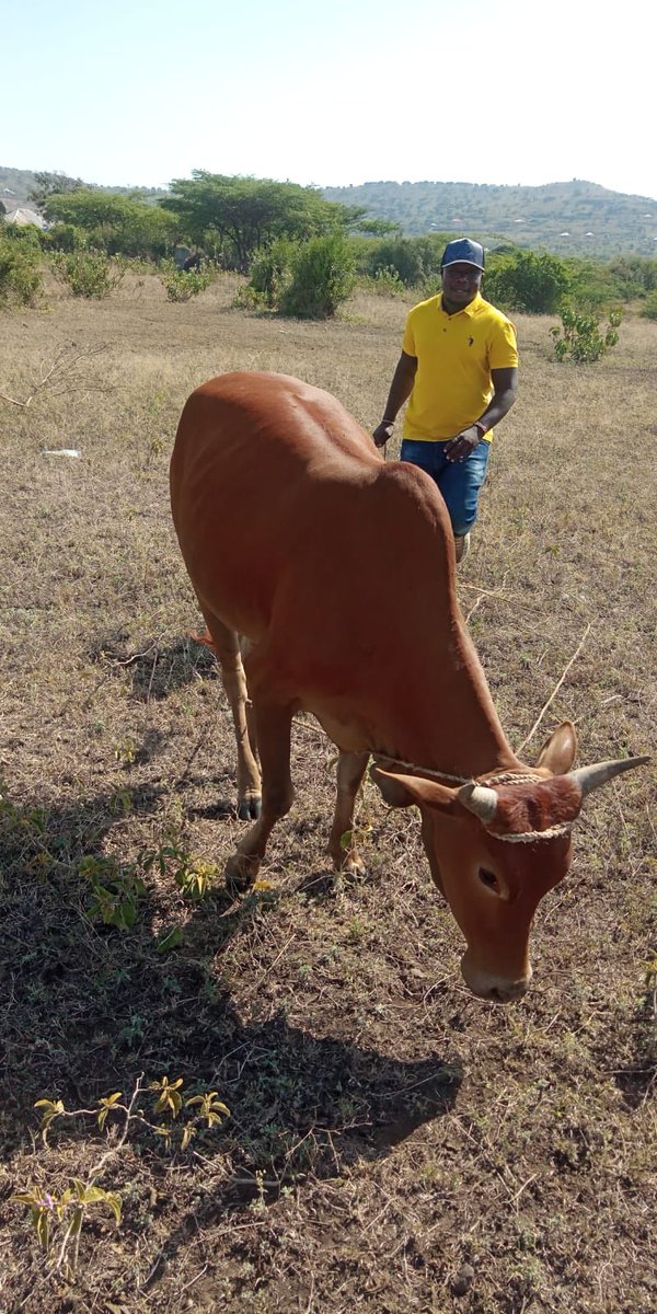 Seth Olale tweet media