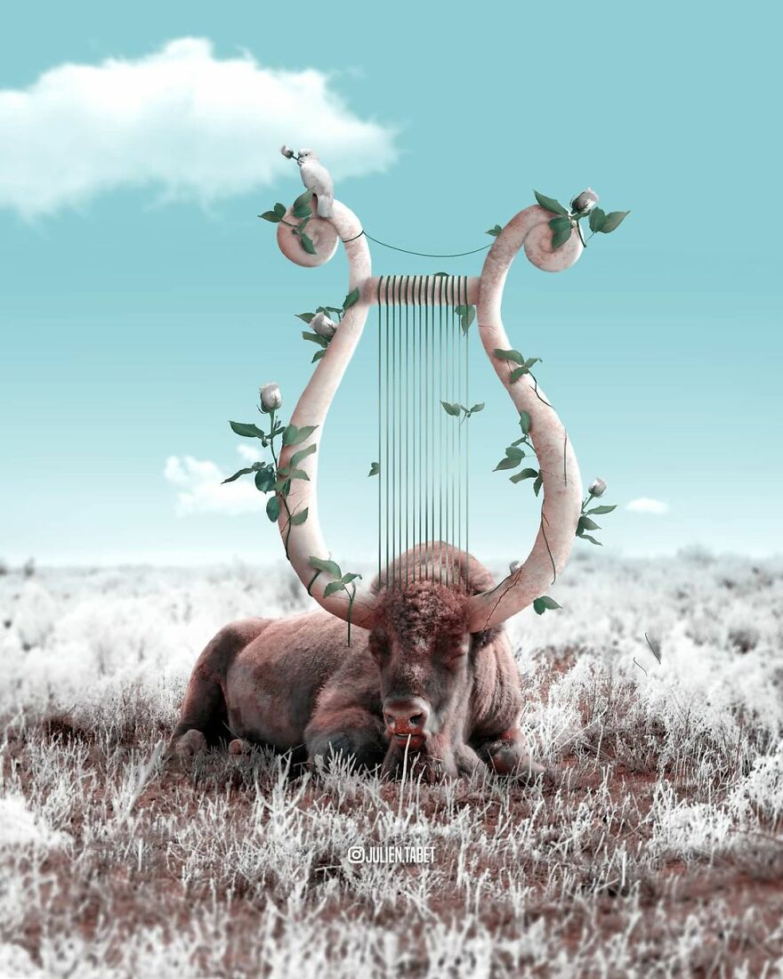 Funny Animal Photo Manipulation by Julien Tabet
funnyness.com/funny-animal-p…
#funny