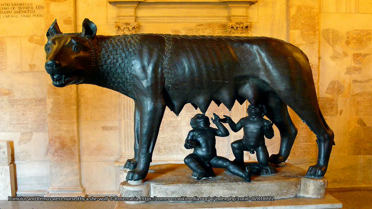 #Animal Legends: The Wild #Wolves of #AncientRome by @BenTheEpicure buff.ly/3iUyEsm