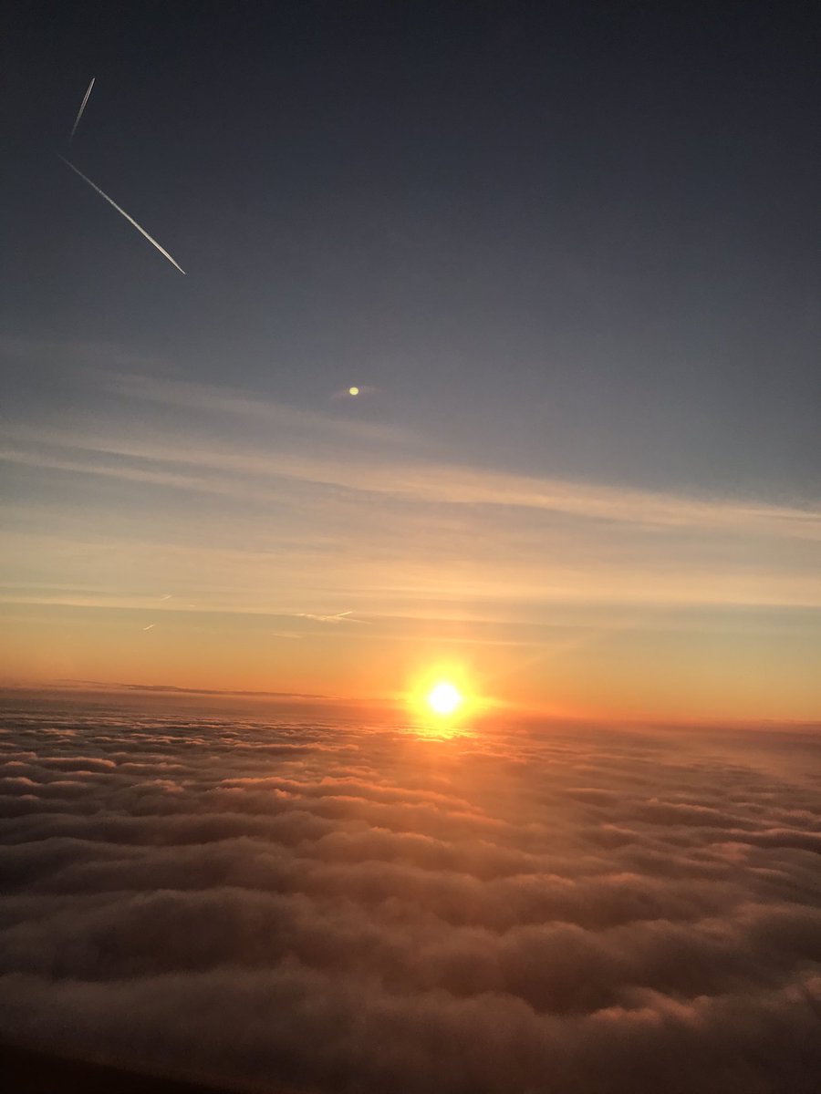 Ciaran Stark tweet media