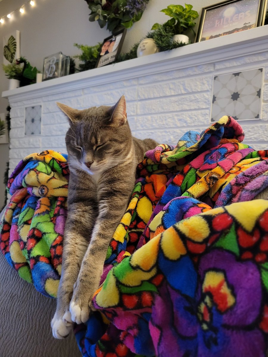 Sammykinnz's tweet photo. @fayemikah This is Morty. Yes, like from the show @RickandMorty https://t.co/tcztdfFRdL