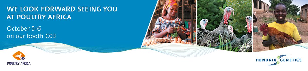 Our layers, turkeys and traditional poultry teams look forward to welcome you at Poultry Africa in Kigali, Rwanda! 
Come by our booth  #C.03 to find out more about our products and exciting new projects.
#poultryafrica2022 #poultry #layinghens #turkeys #traditionalpoultry