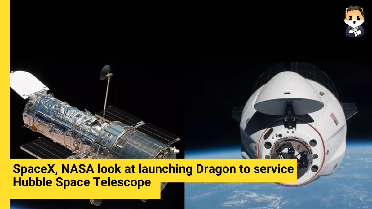 DogelonWarriors's tweet photo. Astronauts could visit the Hubble Space Telescope again someday, this time on a private spacecraft.

Read more: https://t.co/tLaHBTFKsU
#Elon  #Crypto  #DogelonWarriors  #dogelonarmy #ELONGEVITY #dogelonmars #NASA #SPACEX https://t.co/cwFF0pDz4o