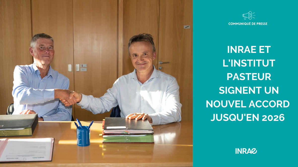 INRAE (@inrae_france) on Twitter photo #RP_INRAE🤝 Des actions conjointes pour faire face aux enjeux sanitaires et de santé globale, INRAE et <a href="/institutpasteur/">Institut Pasteur, since 1887</a> renforcent leur collaboration ! 🔬 #OneHealth
➡️url.inrae.fr/3CjbLuI #RP_INRAE🤝 Des actions conjointes pour faire face aux enjeux sanitaires et de santé globale, INRAE et <a href="/institutpasteur/">Institut Pasteur, since 1887</a> renforcent leur collaboration ! 🔬 #OneHealth
➡️url.inrae.fr/3CjbLuI