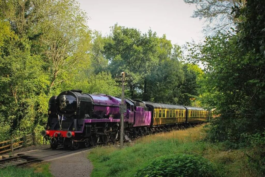 Lilac Liz in a Sea of Green. 

Having reached the top of the climb out of Highley, Bulleid Pacific No 70 'Elizabeth II' coasts across the crossing at Barke Street with its service for Bridgnorth during the Severn Valley Railway Autumn Steam Gala.

#train… https://t.co/xOOKizFqkN https://t.co/NbRS0KrRE8